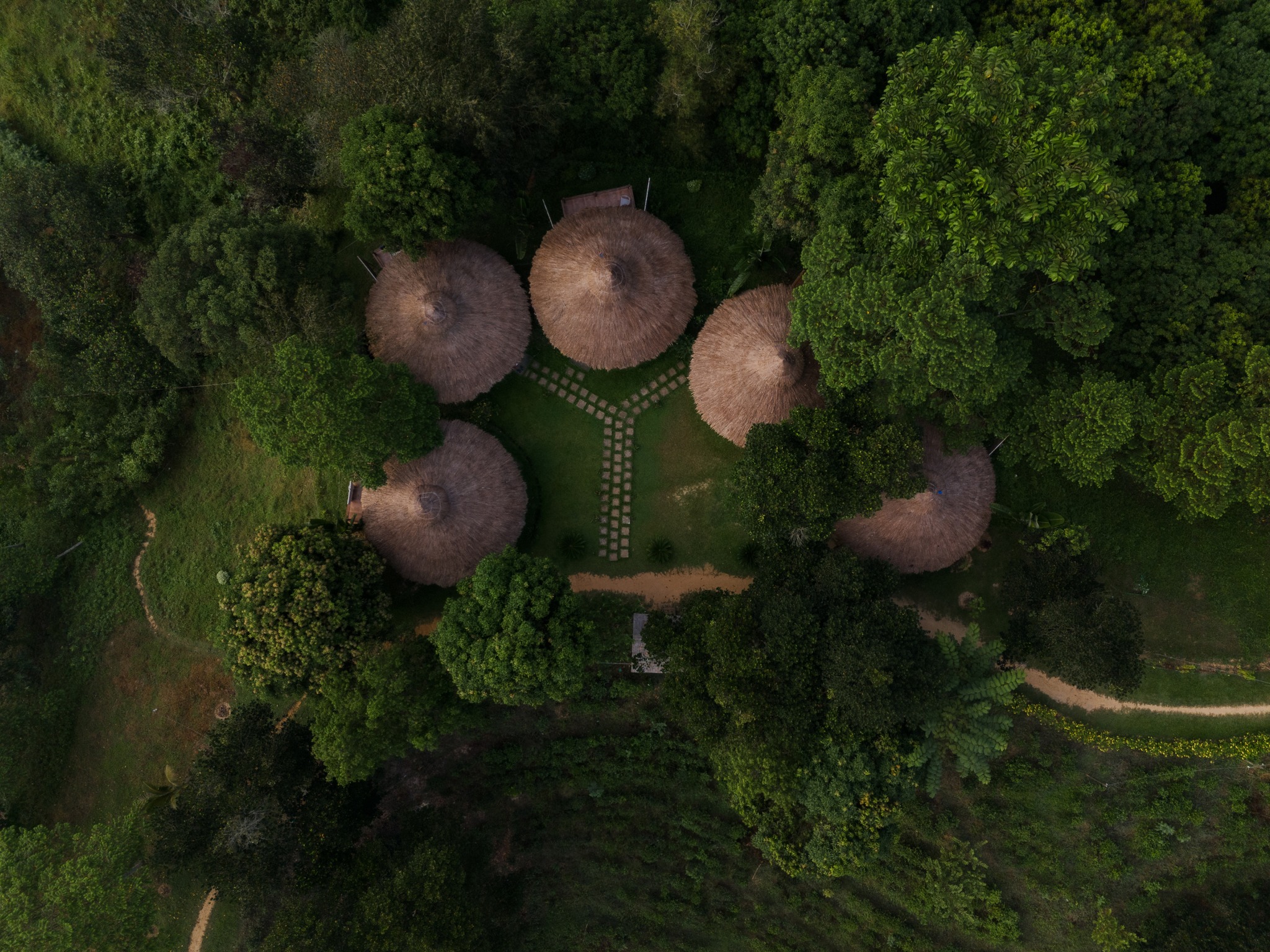 Eco Villa